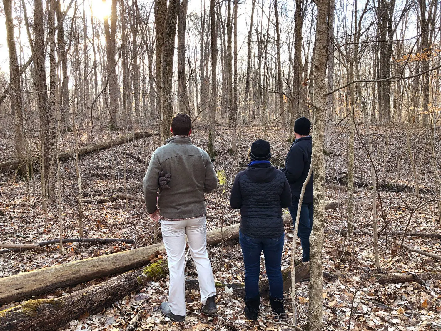 Three people standing among bare trees on a wooded homesite
