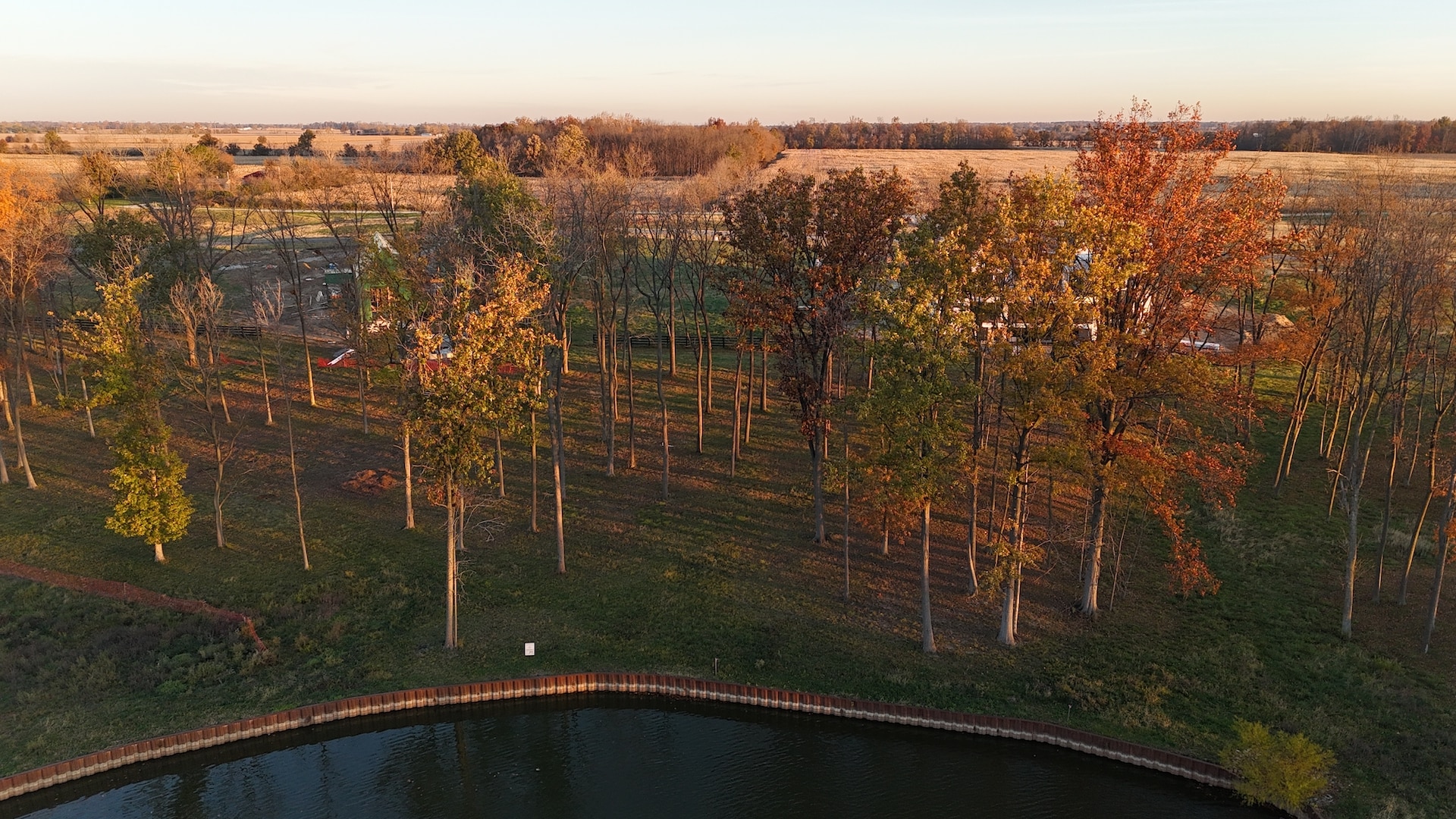 An aerial view of a field with trees, a pond, and custom homes in Indiana.